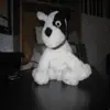 Boo Doggy
