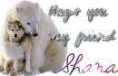 hugging