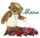 Shana Bear