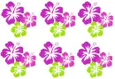 Hawaiian flowers