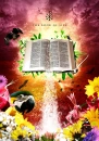 the book of life
