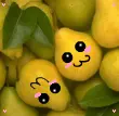 Pears