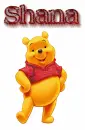SHANA winnie the pooh