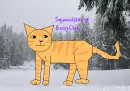 Squirrrelstar