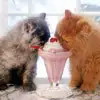 aww cute