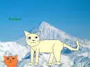 Pearlpine