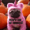 pug thats not my unicorn