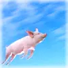 flying pig ufo