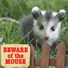 BEWARE OF THE MOUSE