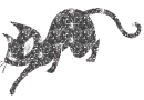 glitter cat