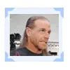 shawn michaels
