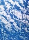 Sky<3
