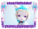 DOLLFIE KITTY