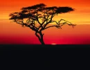 africa background