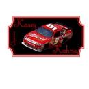 Kasey Kahne ~Spinner~