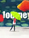 Dan Trip