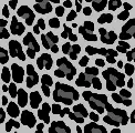 black cheeta print