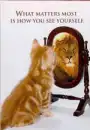 cat looking in mirror