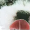 cute
