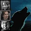 Marauders