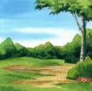 Backgrounds