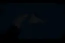 vbgnfvghfkuhfvcm