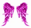pink wings