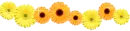 divider