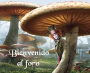 Bienvenido
