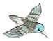 a humming bird