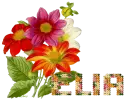 ELIA
