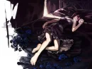 in the blue roses
