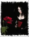 The Rose