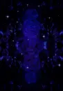 Blue stars and roses
