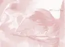 Yaoi Bk