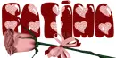 fatima 