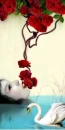 Enakei Swan Lake 