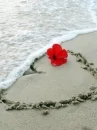 Love like a Hurricane