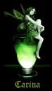 Carina absinthe faerie