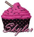 Pink & Black Cupcake -Skylar-