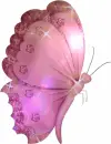 buterfly