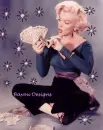 MONEY MARILYN MONROE