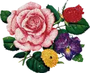rosas