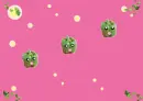 KAWAII VEGGIE