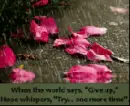 give up