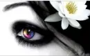 Rainbow eye