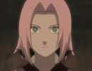 Sakura 3