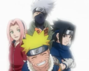 Team 7