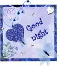 good nighgt