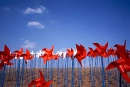 pinwheel